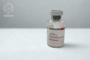 Salmonella Vaccination in Lay