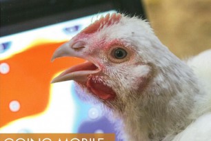 PrognostiX: Blistering internet speed allows farm to use smart technology